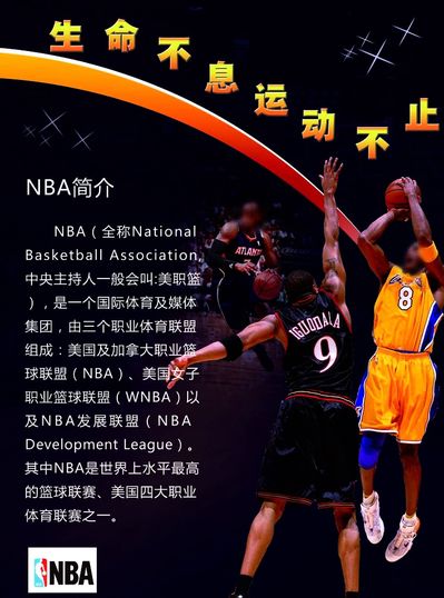 独具慧眼的